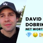 David Dobrik Net Worth: The YouTube Sensation